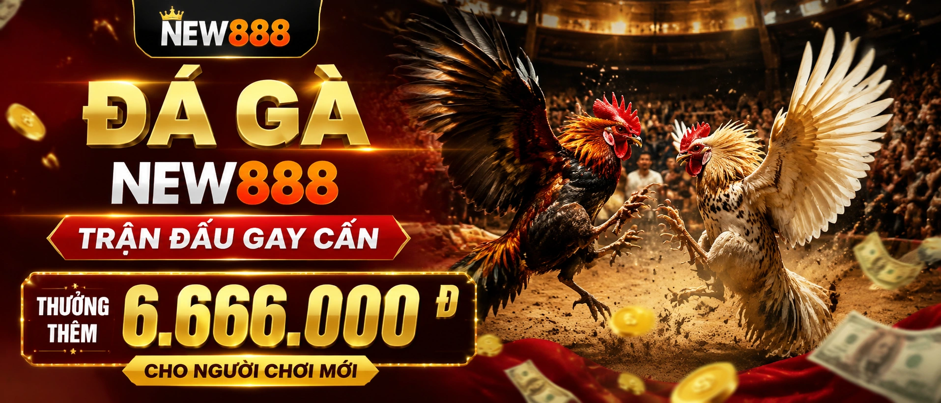Khu Đá Gà trực tiếp trên mobile