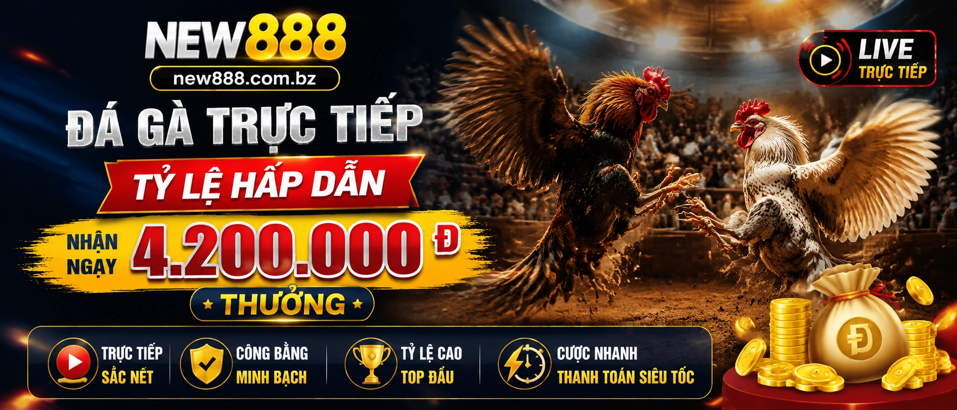 Trực tiếp Đá Gà và lọc phòng